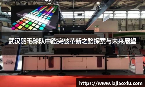 武汉羽毛球队中路突破革新之路探索与未来展望