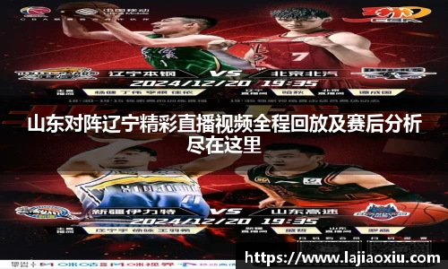 山东对阵辽宁精彩直播视频全程回放及赛后分析尽在这里