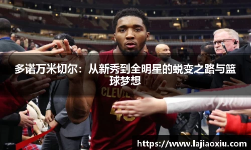 多诺万米切尔：从新秀到全明星的蜕变之路与篮球梦想